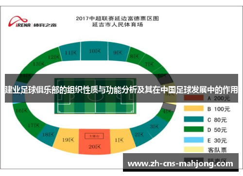 建业足球俱乐部的组织性质与功能分析及其在中国足球发展中的作用