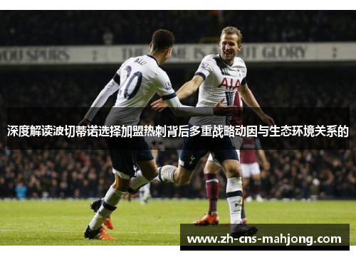 深度解读波切蒂诺选择加盟热刺背后多重战略动因与生态环境关系的 深度解读波切蒂诺选择加盟热刺背后多重战略动因与生态环境关系的