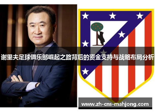 谢里夫足球俱乐部崛起之路背后的资金支持与战略布局分析