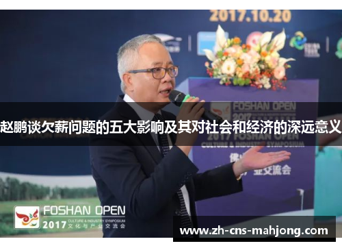 赵鹏谈欠薪问题的五大影响及其对社会和经济的深远意义