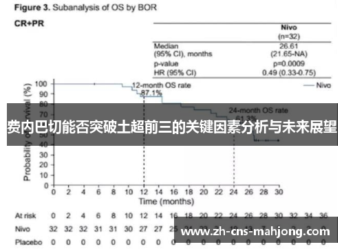 费内巴切能否突破土超前三的关键因素分析与未来展望